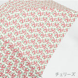 EMILY BURNINGHAM / 雨傘 折りたたみ傘 グラスファイバー ミニ 55cm 日本製