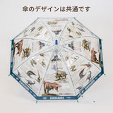 学研の図鑑ライブ / 子供用傘 50cm 雨傘 長傘 グラスファイバー 恐竜 10種恐竜 ビニール傘 ジャンプ式