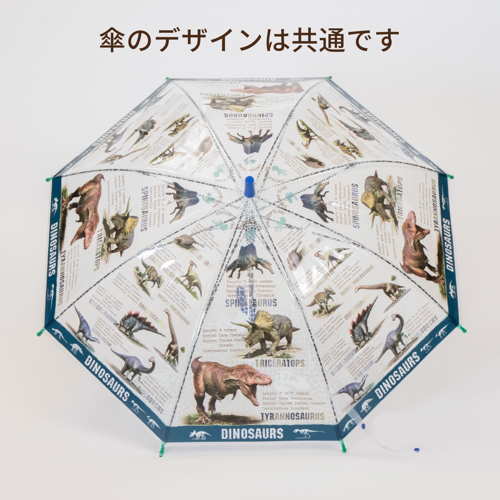 学研の図鑑ライブ / 子供用傘 50cm 雨傘 長傘 グラスファイバー 恐竜
